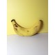 realistic dog toy Banana Stepbypet.pl