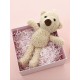 teddy bear toy for a dog Stepbypet.pl