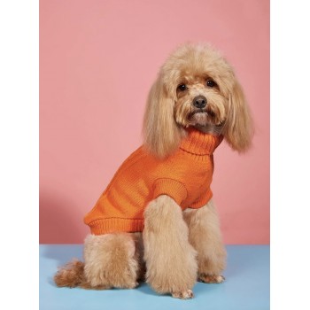 Orange dog sweater Stepbypet.pl