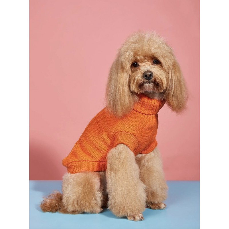 Orange dog sweater