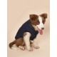 Insulated dog coat stepbypet