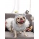 Plush dog hoodie with bunny ears STEPBYPET