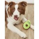 avocado dog toy STEPBYPET.PL