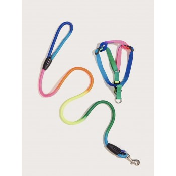 RAINBOW Set of harness + leash for a dog