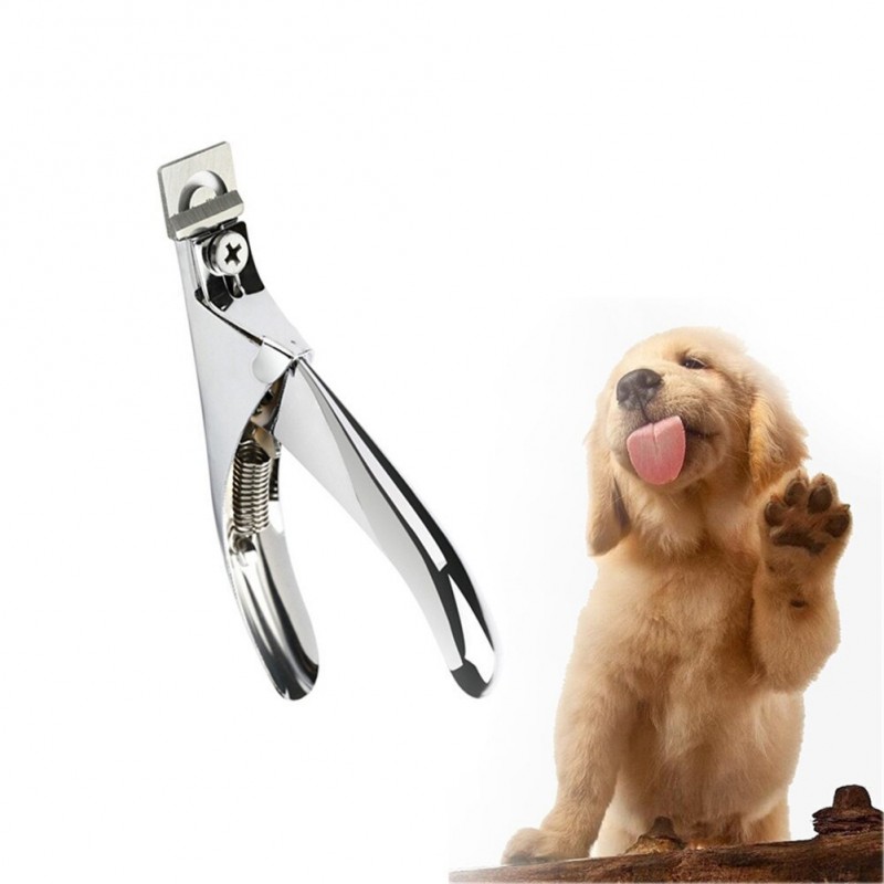 Amazon.com: UrbanPets Professional Dog Nail Grinder for pet Grooming. USB  Rechargeable, 2 Speed, Dog Nail Trimmers for Small Medium or Large Dogs or  Cats. The Best Dog Nail Clipper Grooming kit for