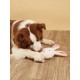 Rabbit dog toy Stepbypet