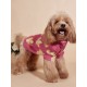 Pink dog sweater with cactus motif Stepbypet.pl