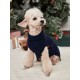 Personalized dog sweater Stepbypet.pl