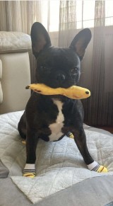 9myuihgm5ouva6jn8ruy-thumbnail.jpg